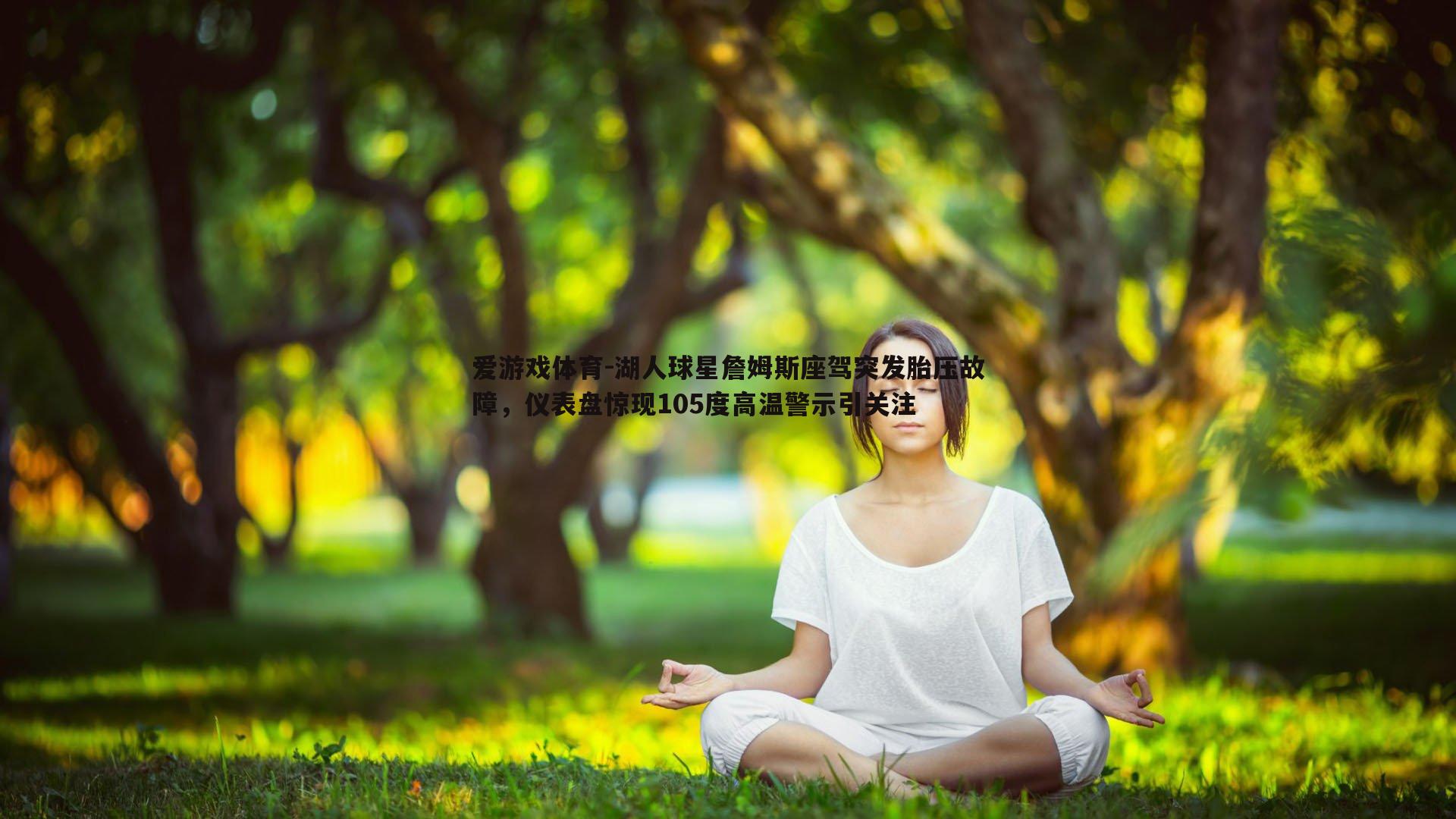 湖人球星詹姆斯座驾突发胎压故障,仪表盘惊现105度高温警示引关注