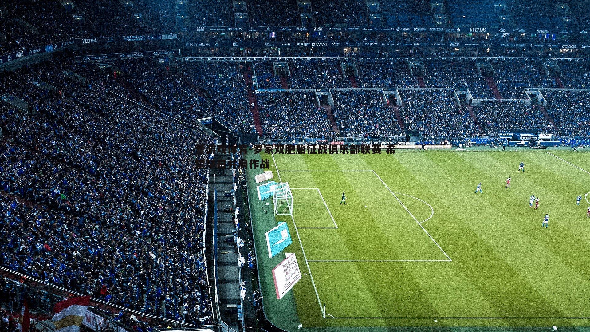 罗家双胞胎征战俱乐部联赛 希望早日并肩作战